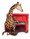MANNA IS TEACHING PRIVATE LESSONS ONLINE! MANNA IS TEACHING PRIVATE LESSONS ONLINE!